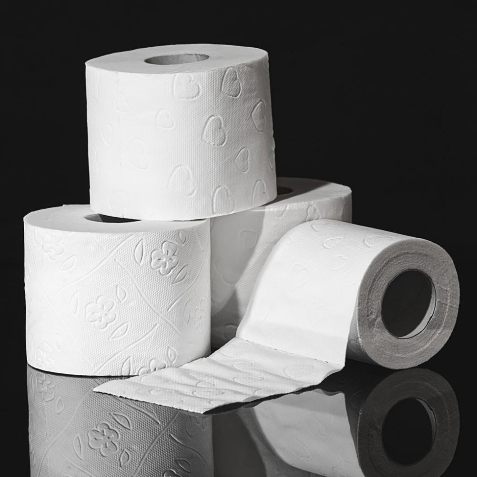 Toilet Tissue Rolls — Pack of 48